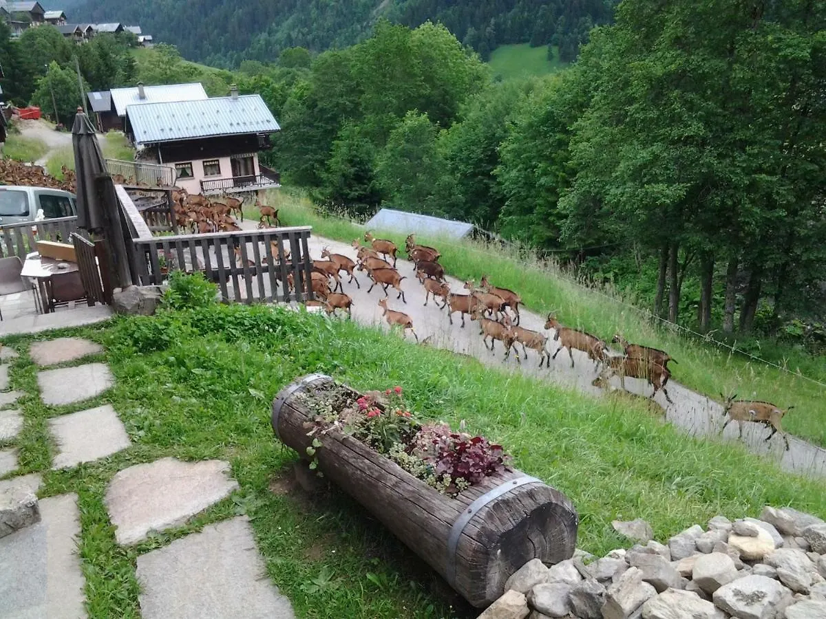 Holiday home Le Nid D'Aigle Villa Areches France